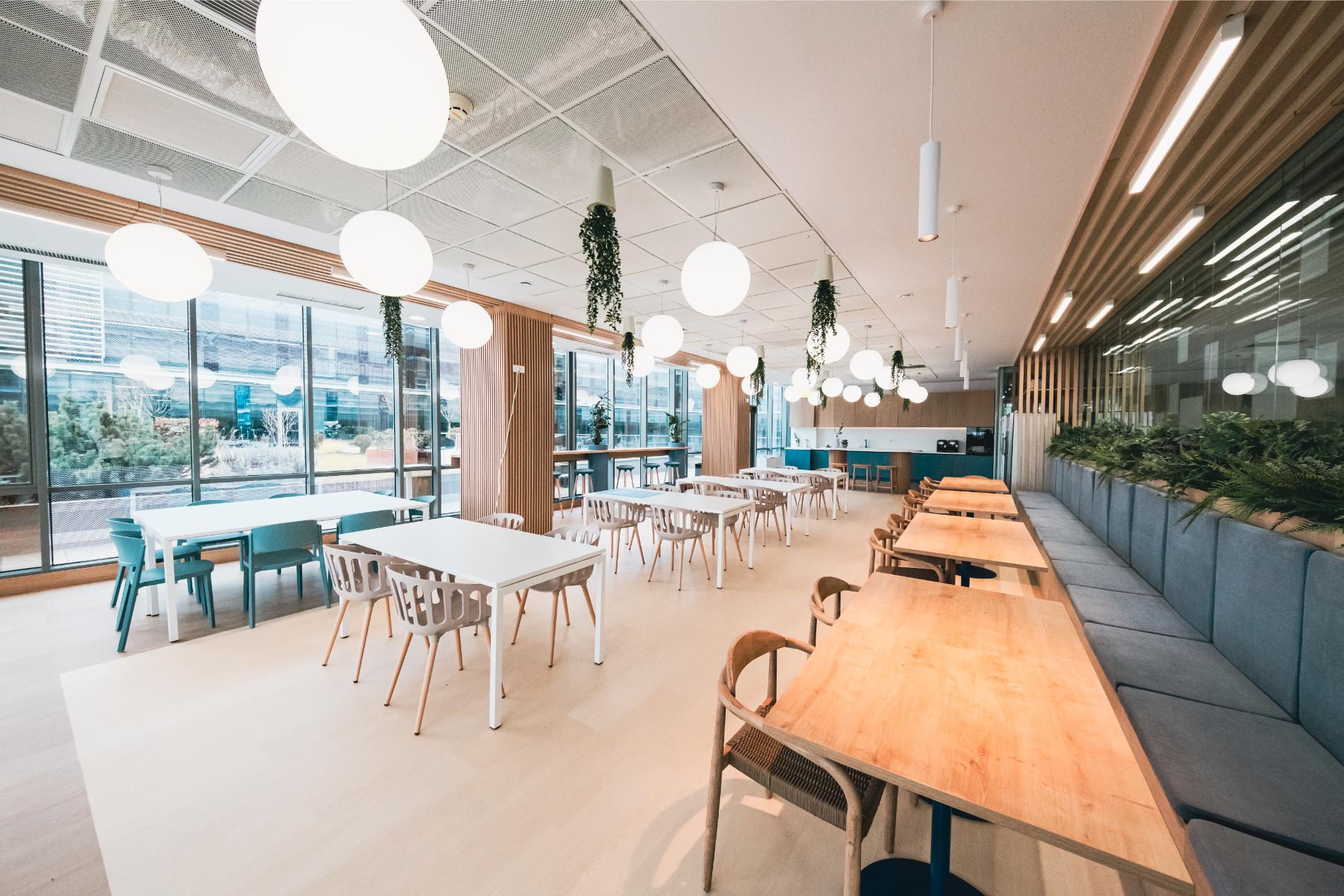 The Open Office Paradox – What Teams Need NOW